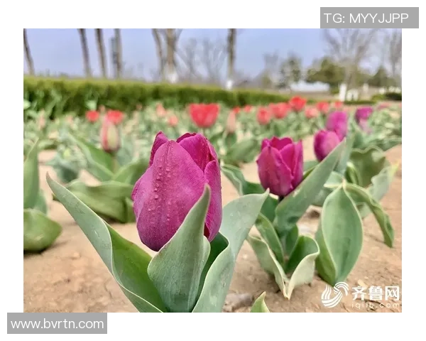 热烈祝贺，全运会冠军！威海南海水上运动练习结硕果